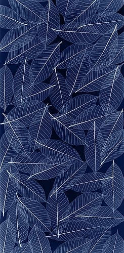 USA- Washington State- Seabeck. Black and white pattern of skeletonized leaves. Places Print